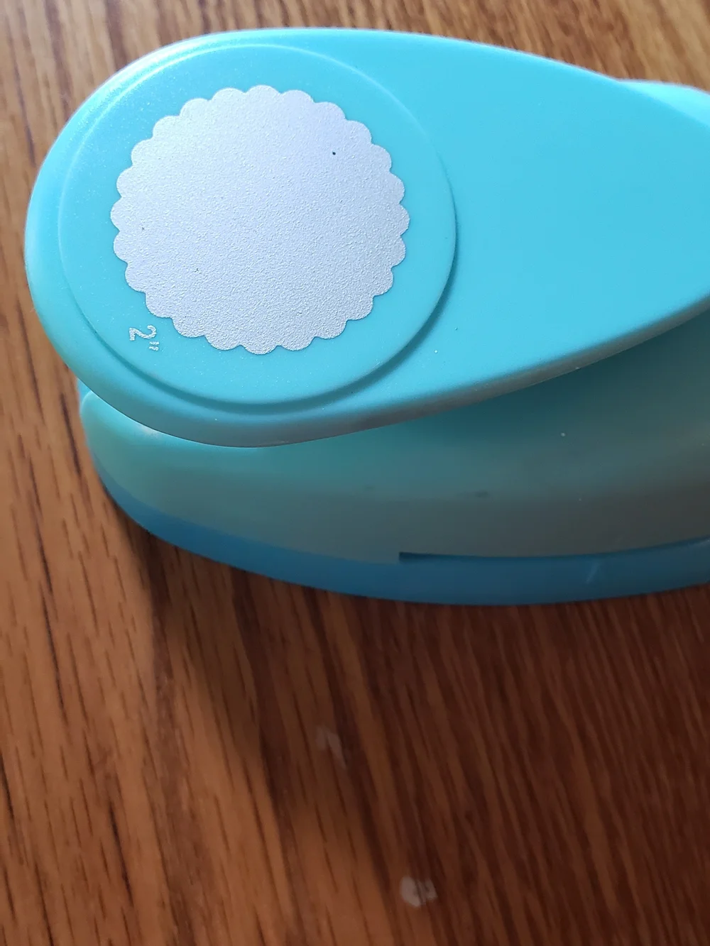 urquoise Craft Paper Punch - Decorative Scallop Circle 2 Inch Punch Out.